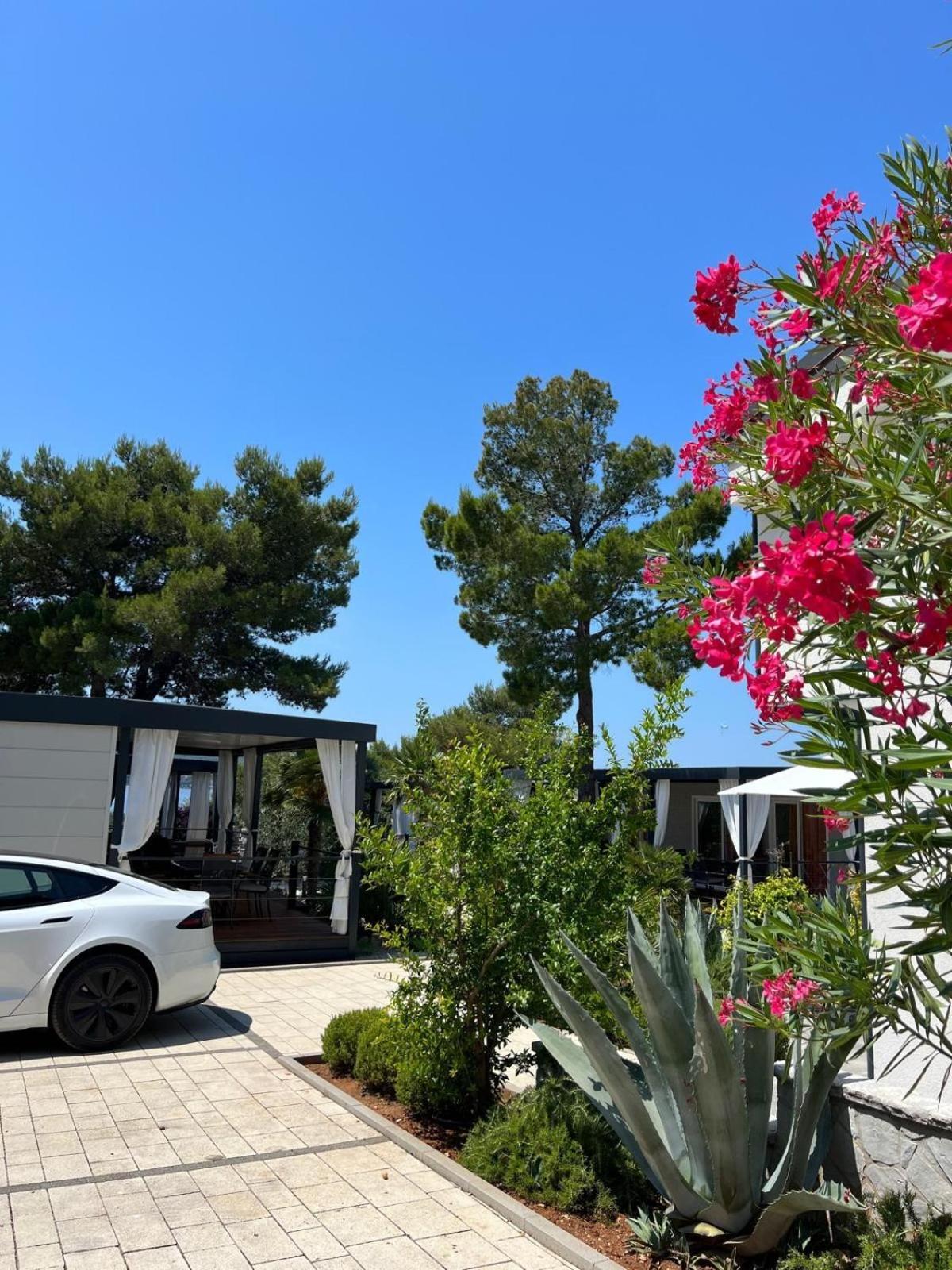Dalmaris Camp - Prestige Mobile Homes 비오그라드나모루 외부 사진